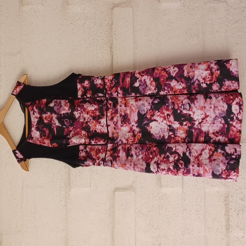 Robert Rodriguez Black and Pink Floral Mini Dress Fit&Flare Sleeveless